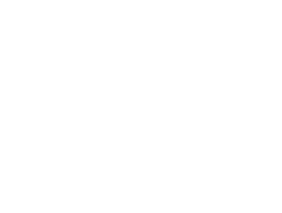 Logo light