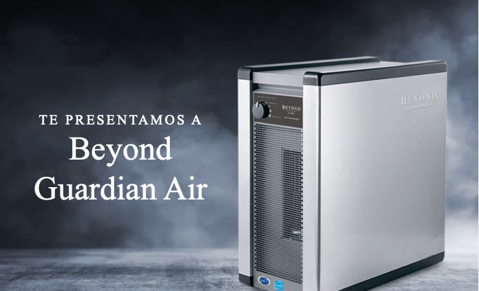guardian air 